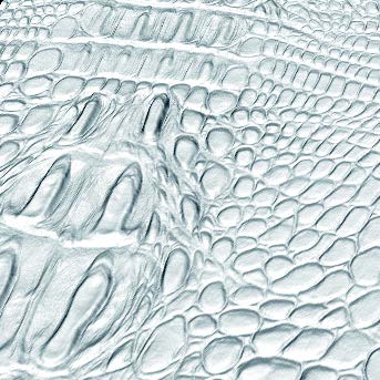 3D Scanner - Leather - dvoptic.com