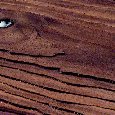 3D Scanner - Leather - dvoptic.com