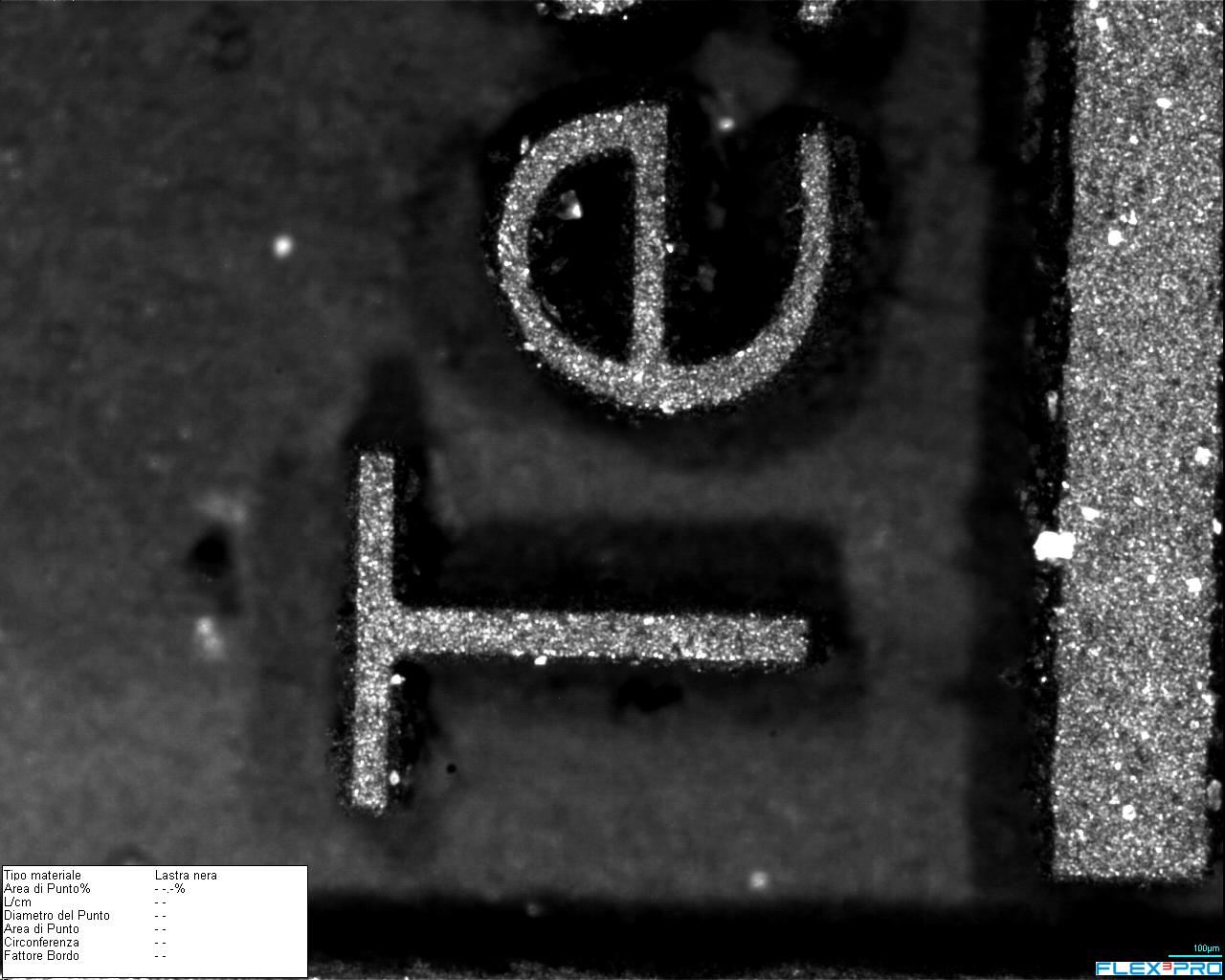 Flexo - dv_immagine2 - dvoptic.com