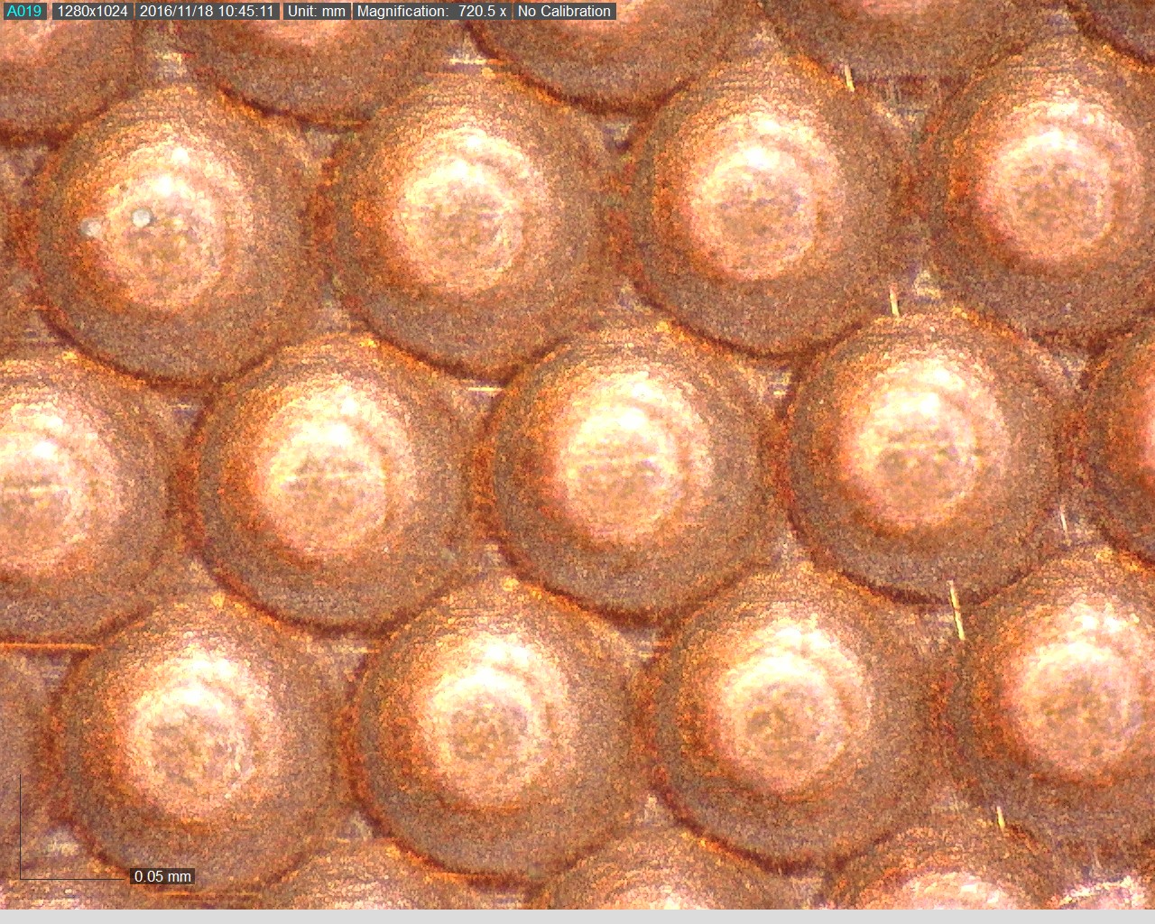 Microembossing - 700x-r_13 - dvoptic.com