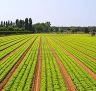 Pan & Tilt Hyperspectral Scanner - Agricolture Precision Farming - dvoptic.com