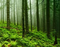 Pan & Tilt Hyperspectral Scanner - Environment Territory - dvoptic.com