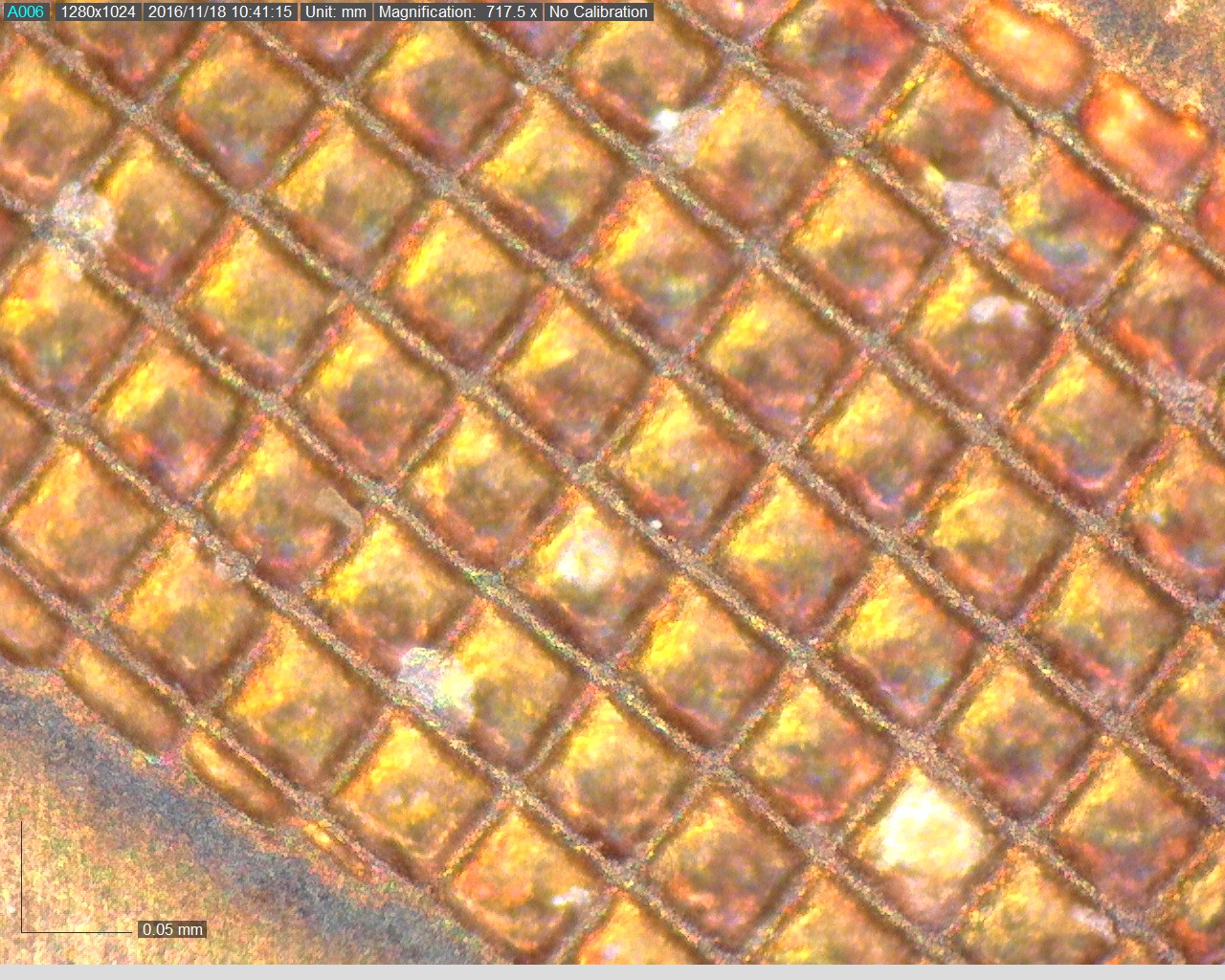 Rotogravure - 700x-r_3 - dvoptic.com