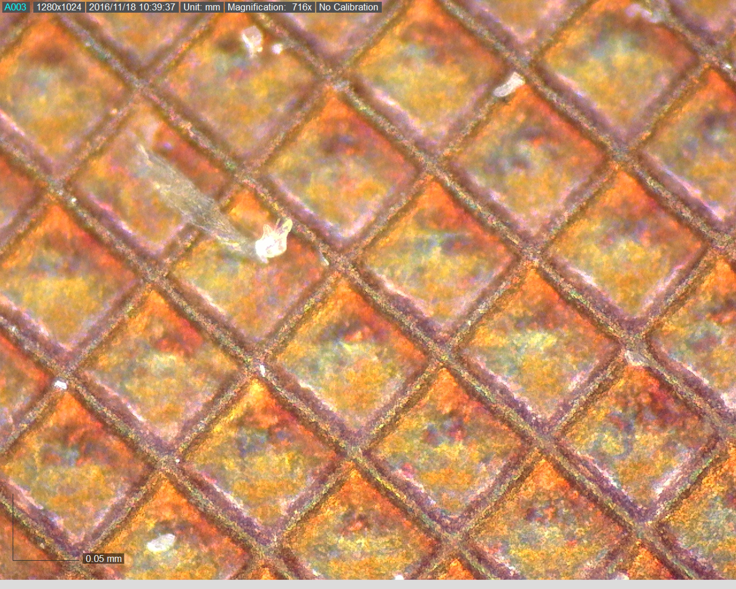 Rotogravure - 700x_1 - dvoptic.com