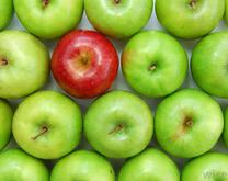 Scanner Food Analysis - dvoptic.com